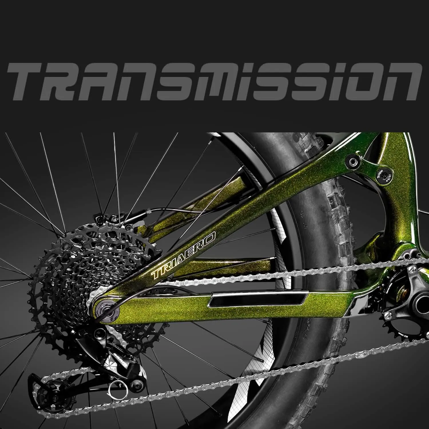 Fat Bike SN04 Rainbow