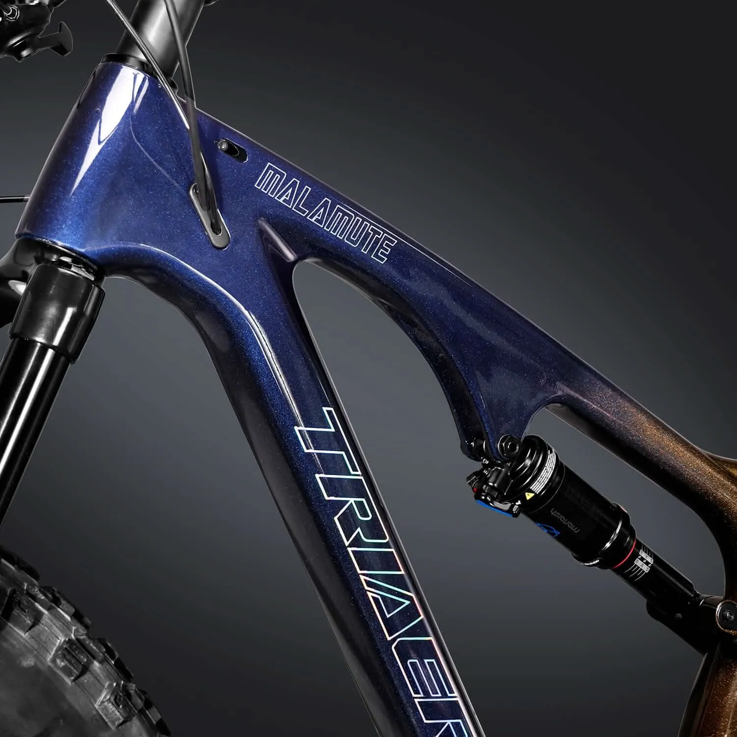 Fat Bike SN04 Rainbow