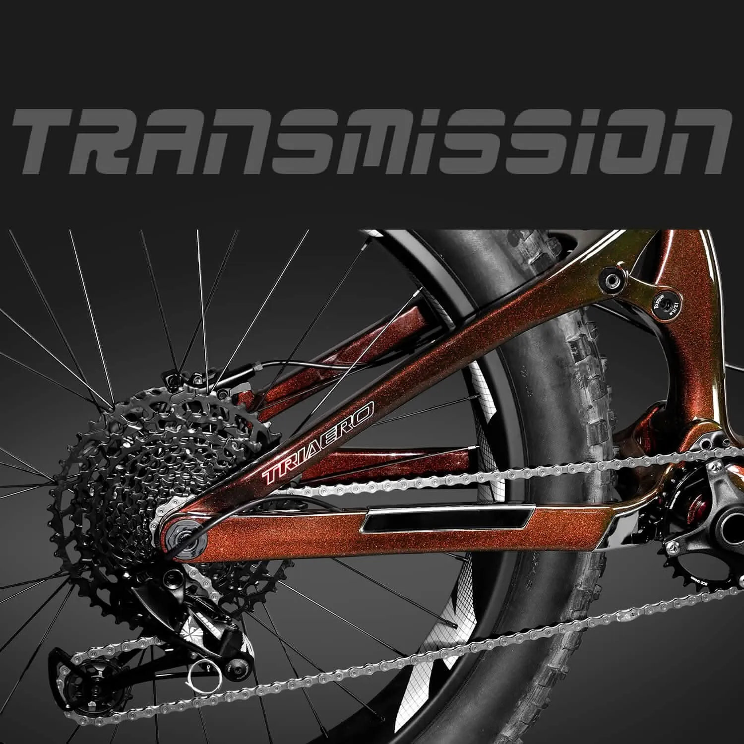 Fat Bike SN04 Rainbow