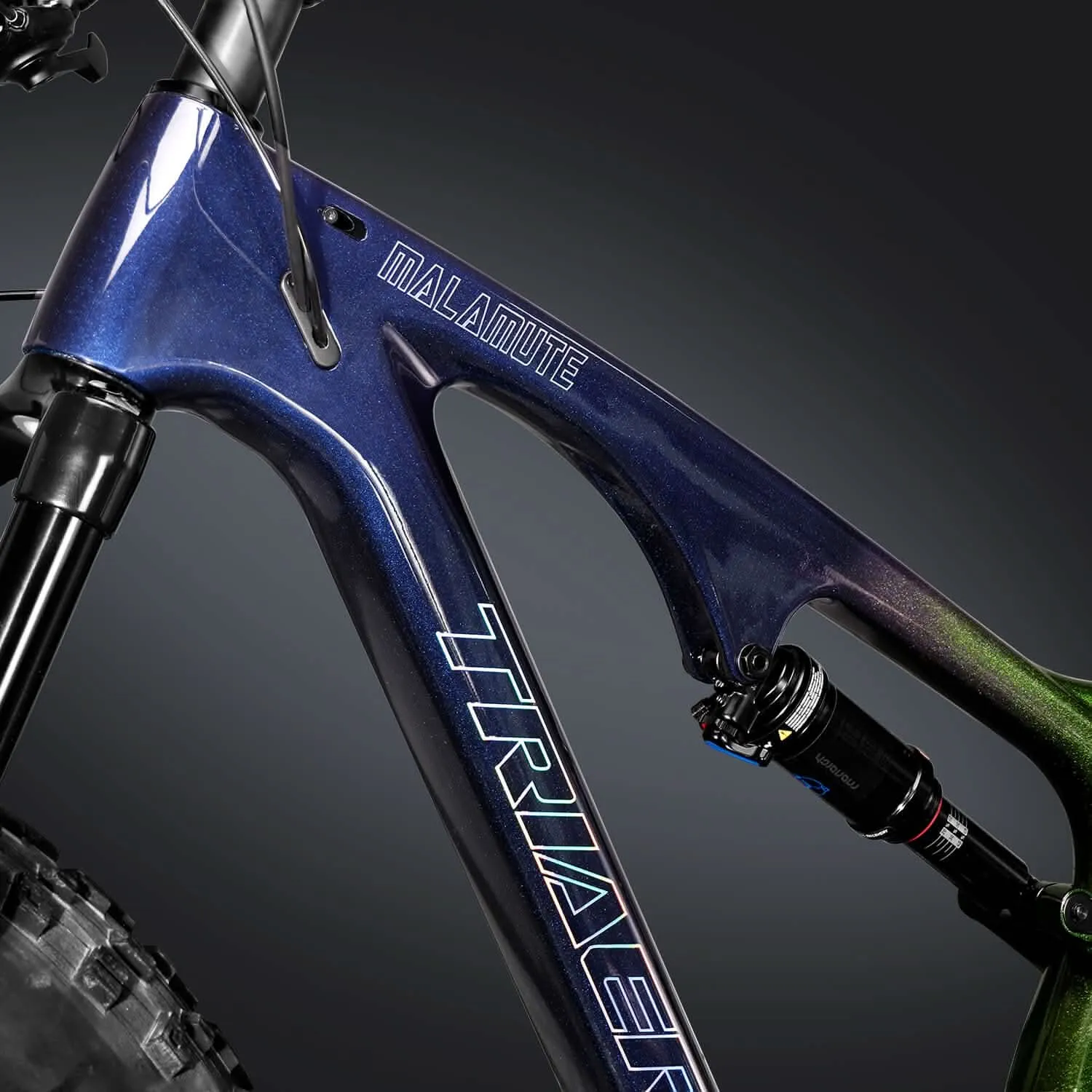 Fat Bike SN04 Rainbow