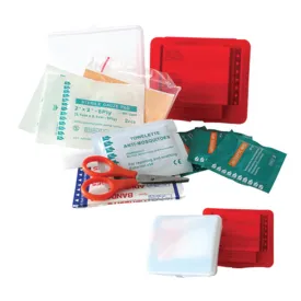 Mini First Aid Kit