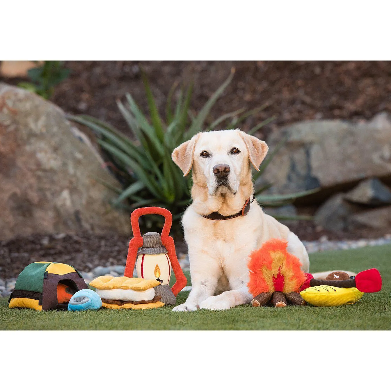 P.L.A.Y - Camp Corbin - K9 Kayak Dog Toy